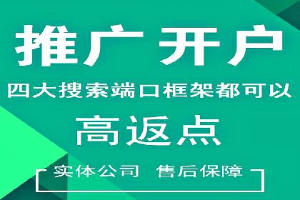 百度推广实战：案例分享与数据解读